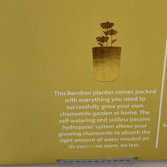 ✅Goldessence Aromas Relax, Refresh, Recharge Chamomile Grow Set W/Ceramic Mug - Picture 4 of 7